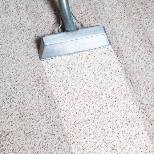 Carpet Cleaning Edmonton