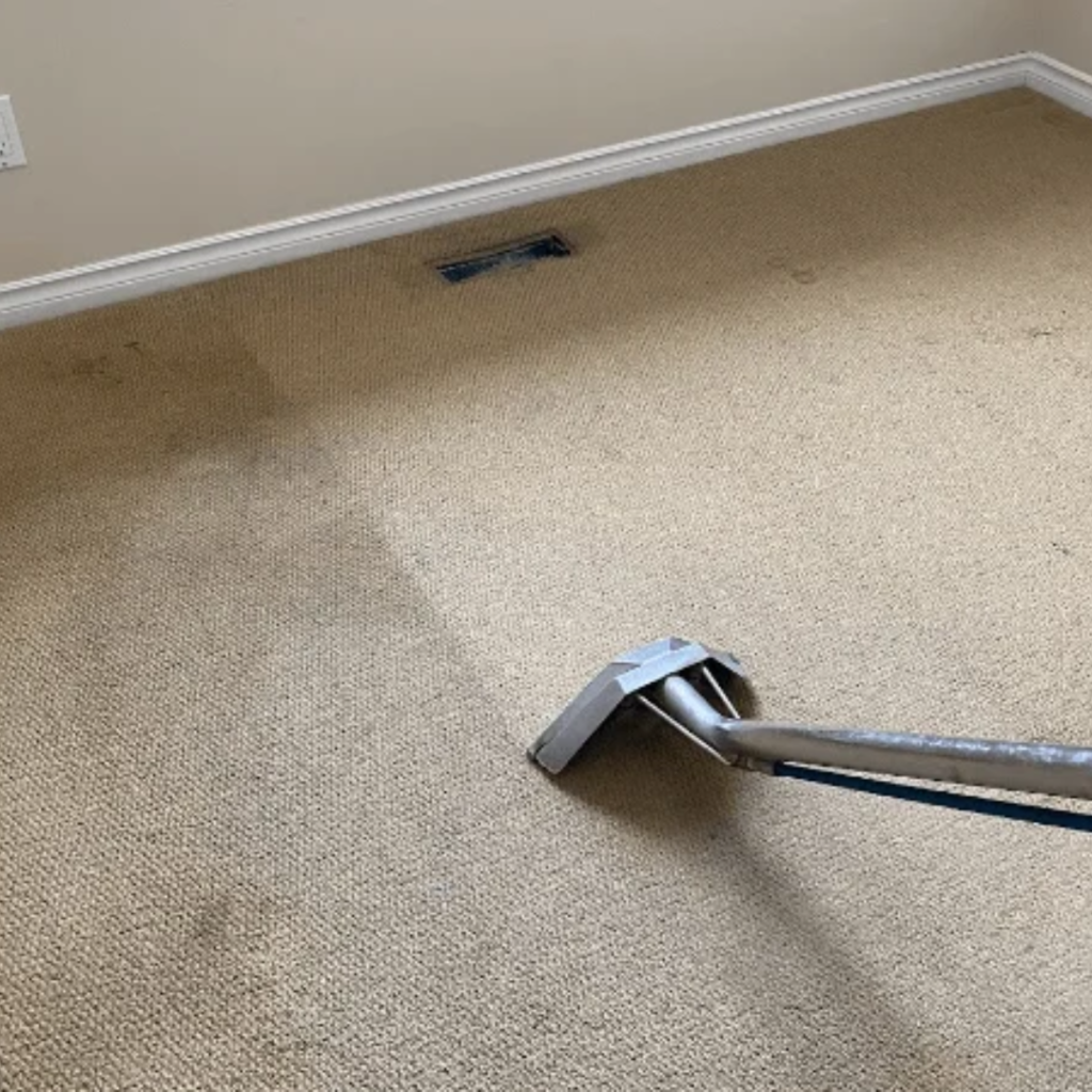 Tips For Maintaining Clean Carpets After Power Cleaning