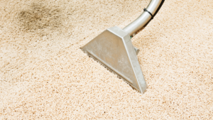 Tips For Maintaining Clean Carpets After Power Cleaning